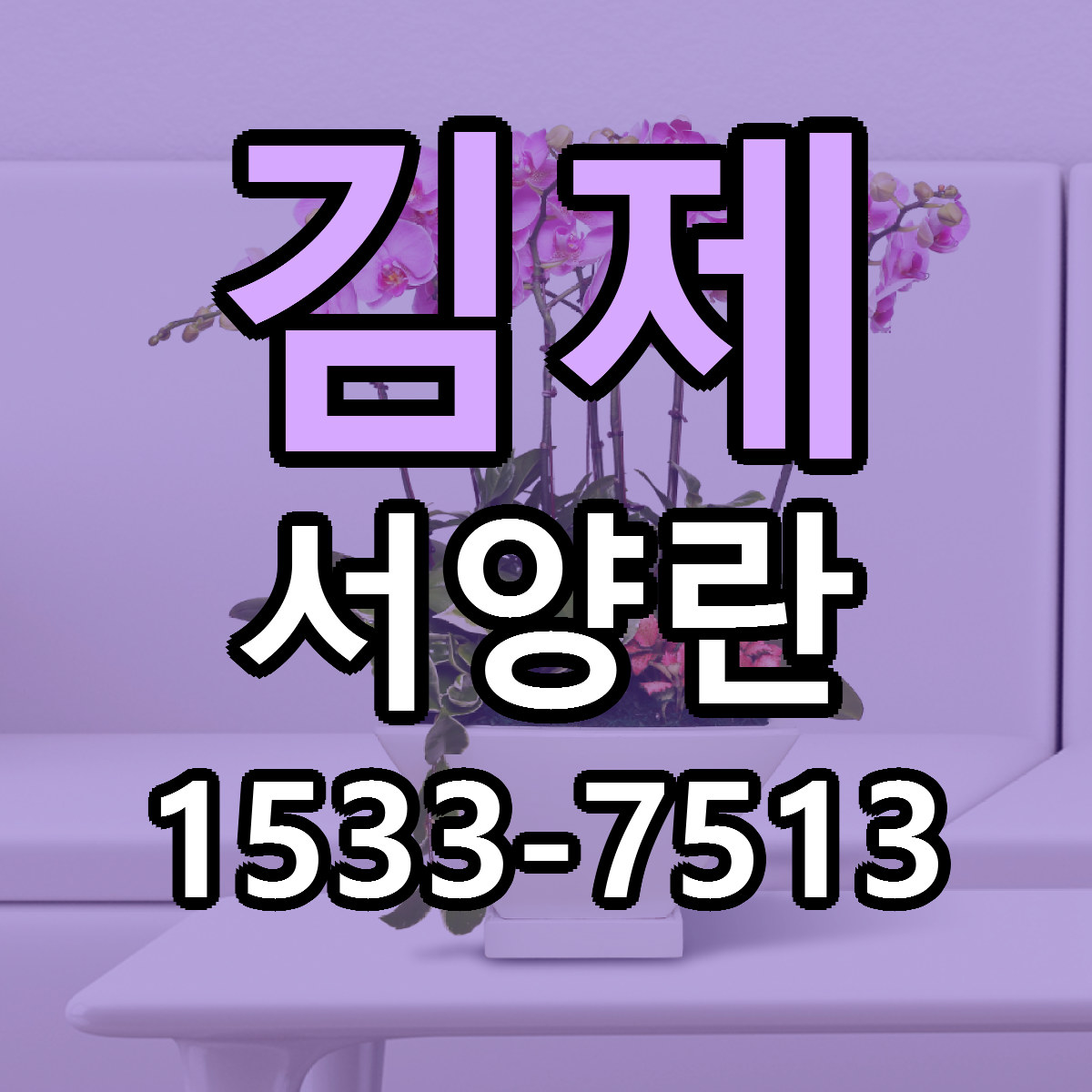 김제 서양란 빠른배송 리본문구 근처꽃집 예약