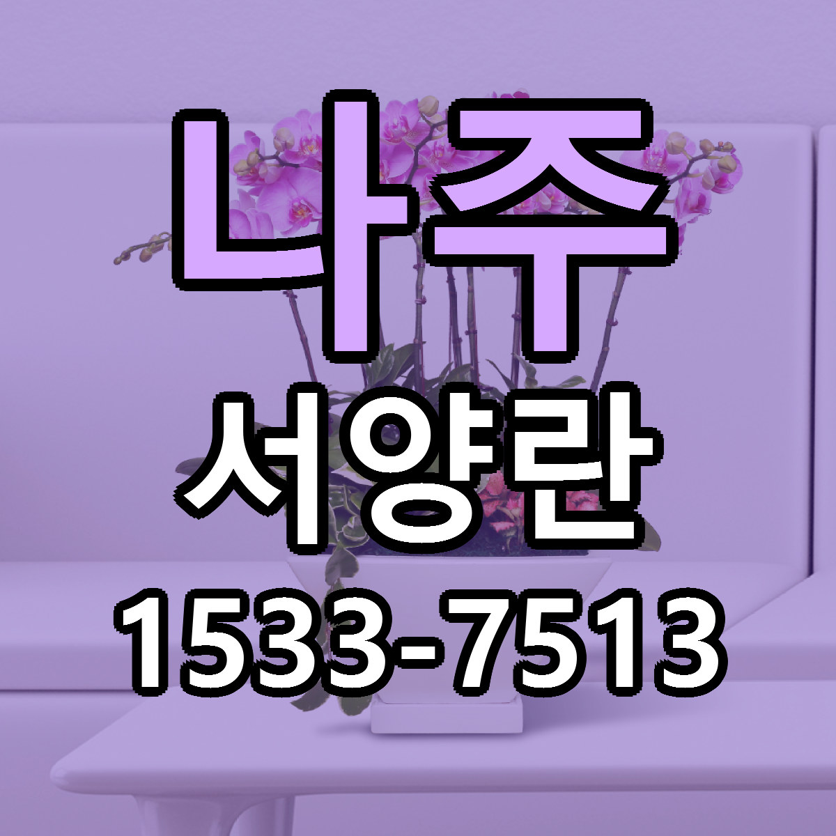 나주 서양란 근처꽃집 싼곳 빠른배송 안내