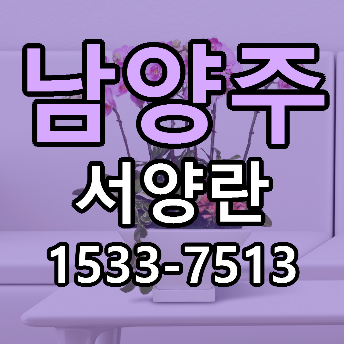 남양주 서양란 저렴한곳 당일배송 근처꽃집 추천