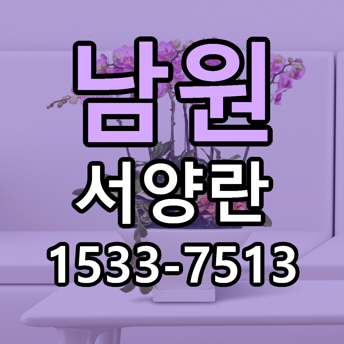 남원 서양란 근처꽃집 싼곳 빠른배송 안내