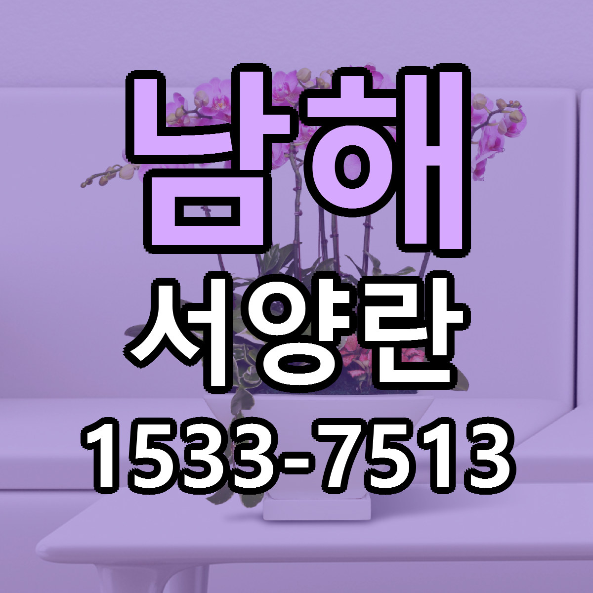 남해 서양란 싼곳 빠른배송 리본문구 무료