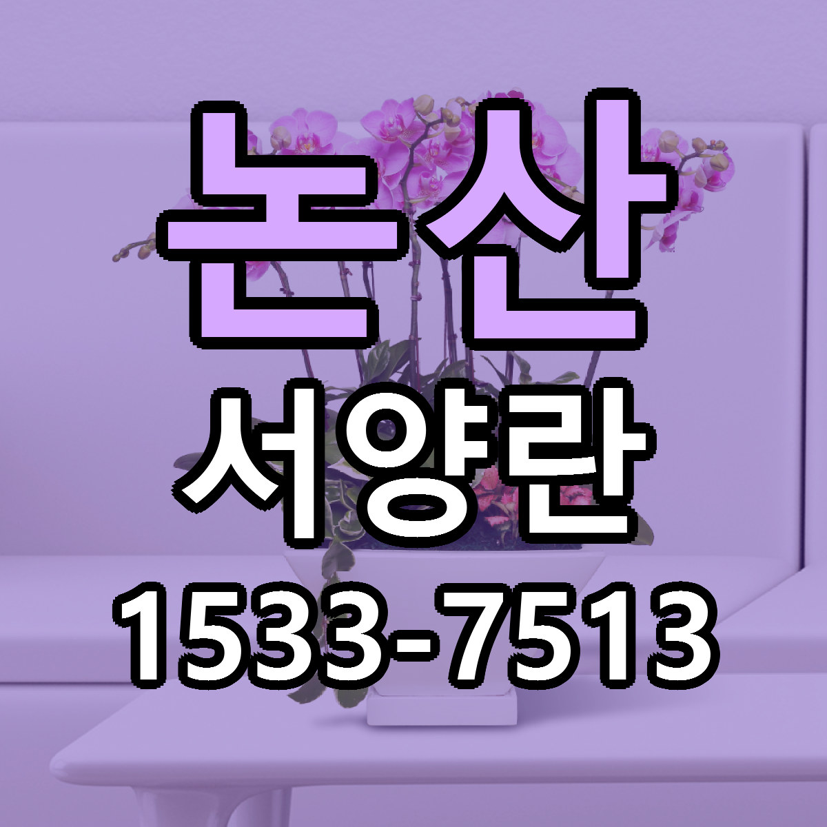 논산 서양란 근처꽃집 빠른배송 가격 문의