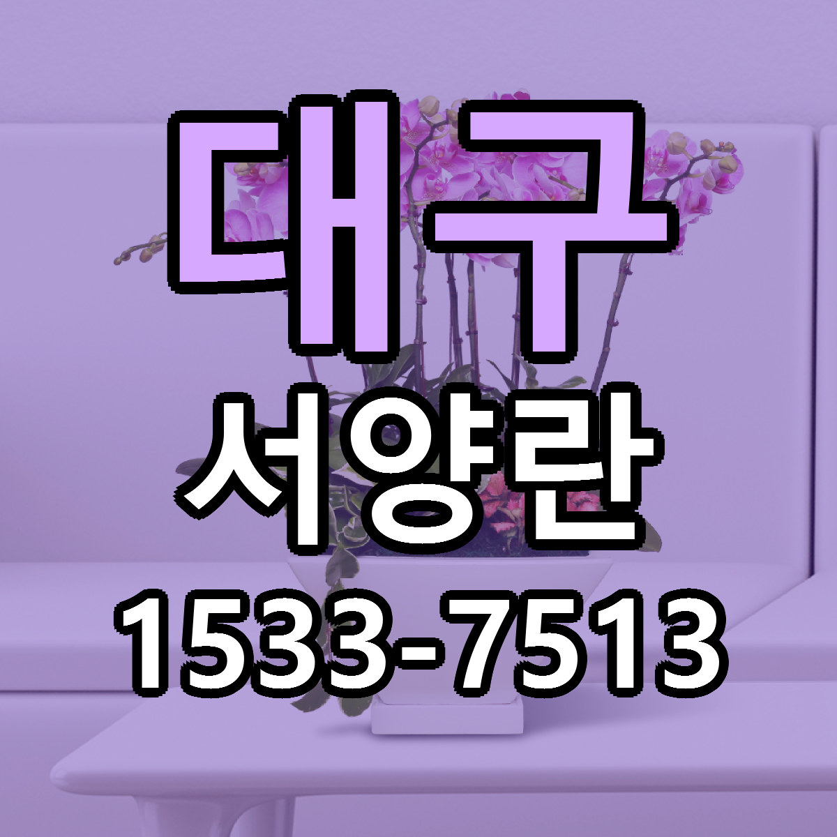 대구 서양란 리본문구 싼곳 빠른배송 예약