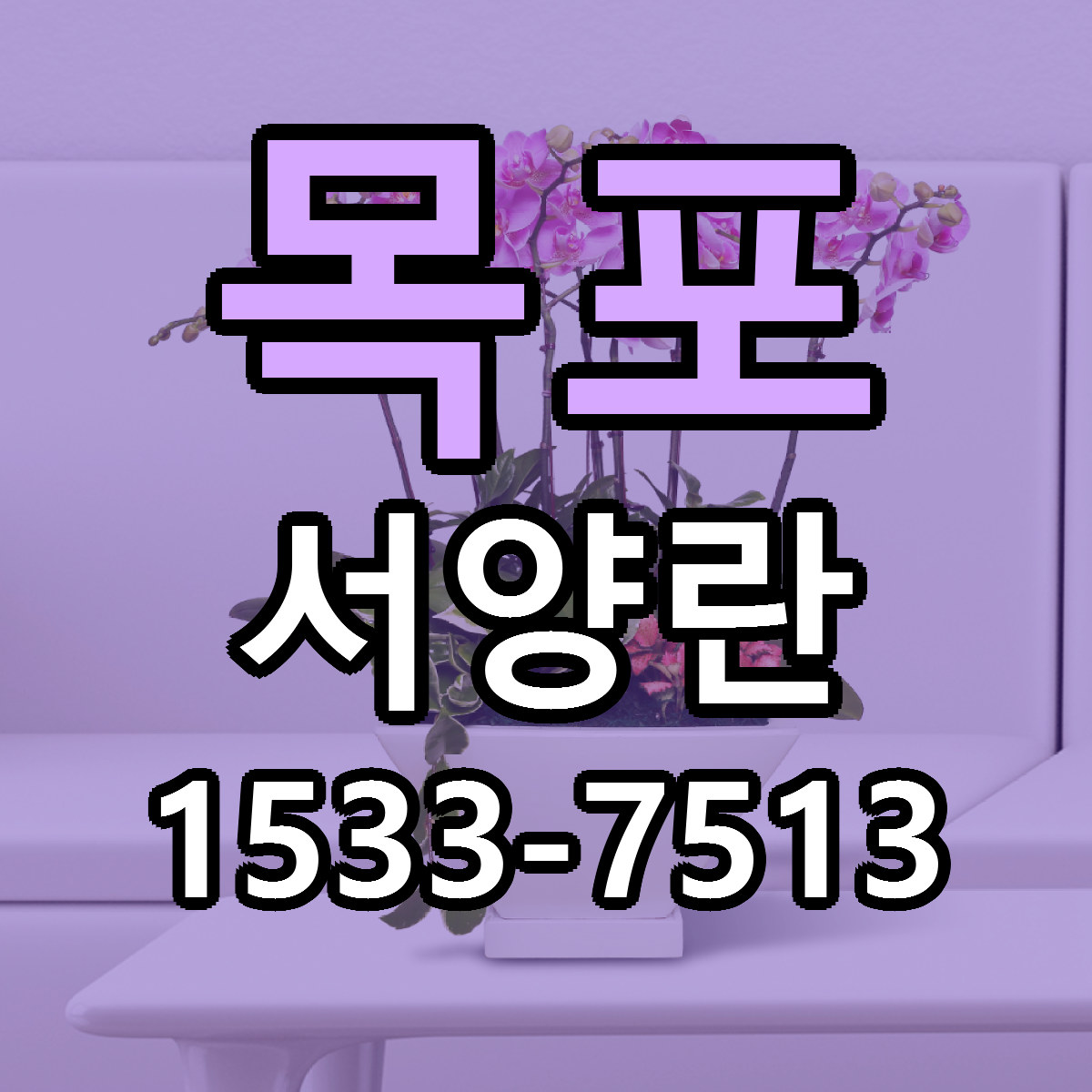 목포 서양란 당일배송 근처꽃집 싼곳 비교