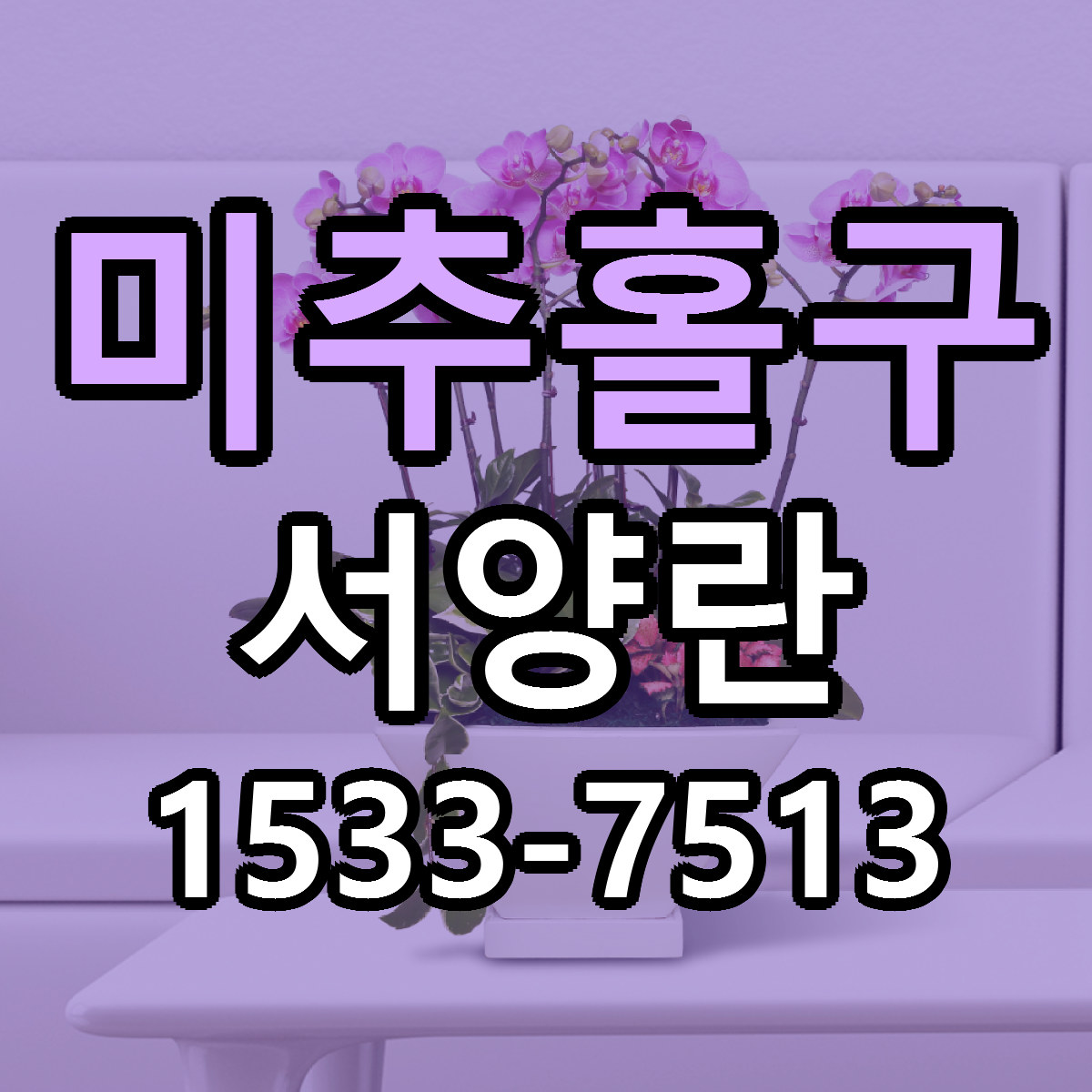 미추홀구 서양란 리본문구 서비스 저렴한곳 빠른배송
