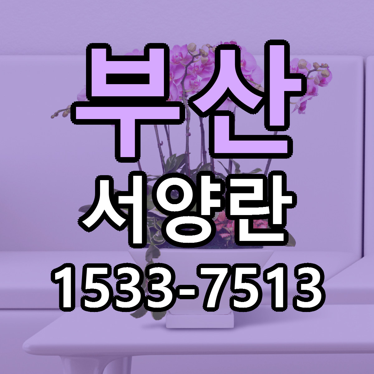 부산 서양란 리본문구 싼곳 빠른배송 예약
