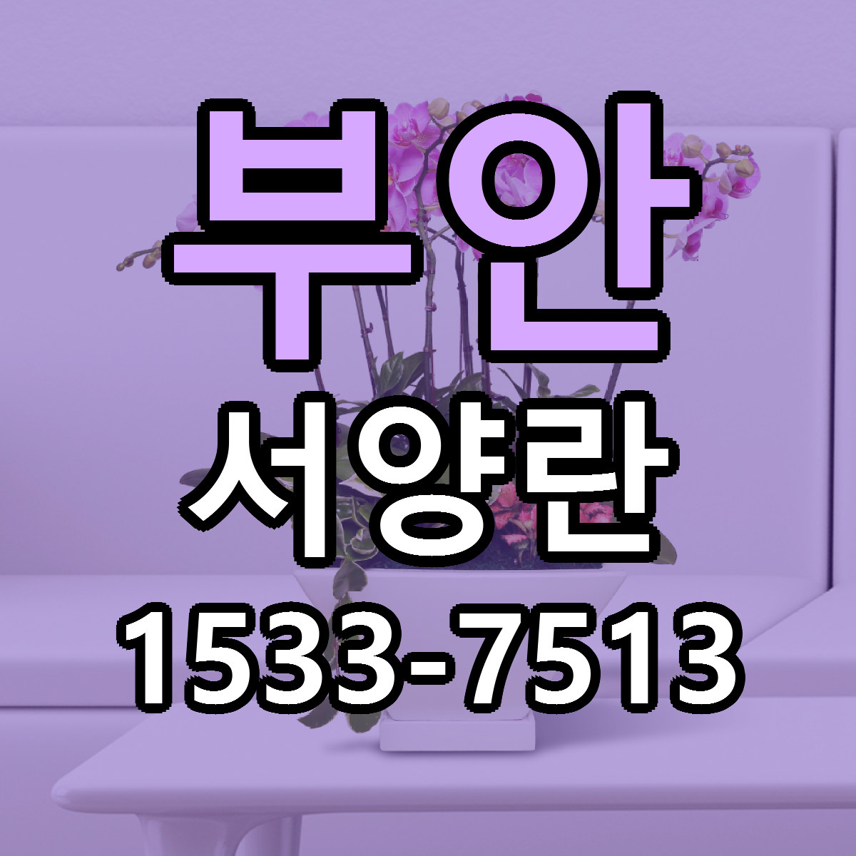 부안 서양란 리본문구 근처꽃집 저렴한곳 예약
