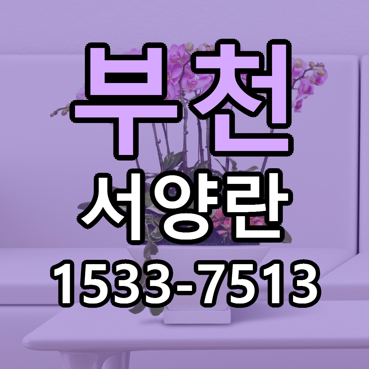부천 서양란 빠른배송 리본문구 근처꽃집 예약
