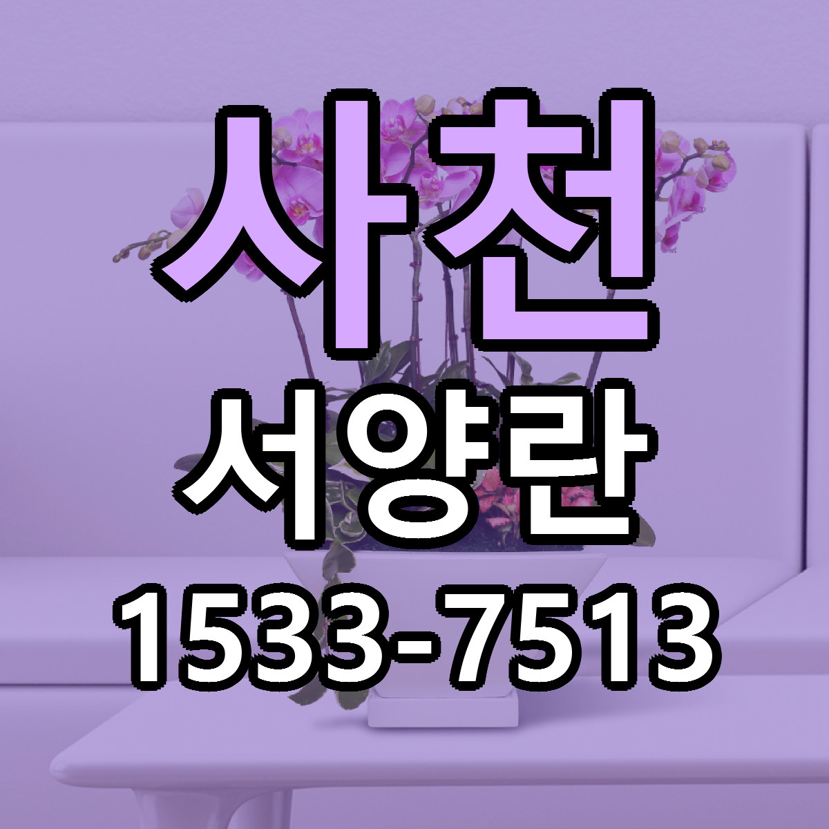 사천 서양란 근처꽃집 저렴한곳 빠른배송 서비스