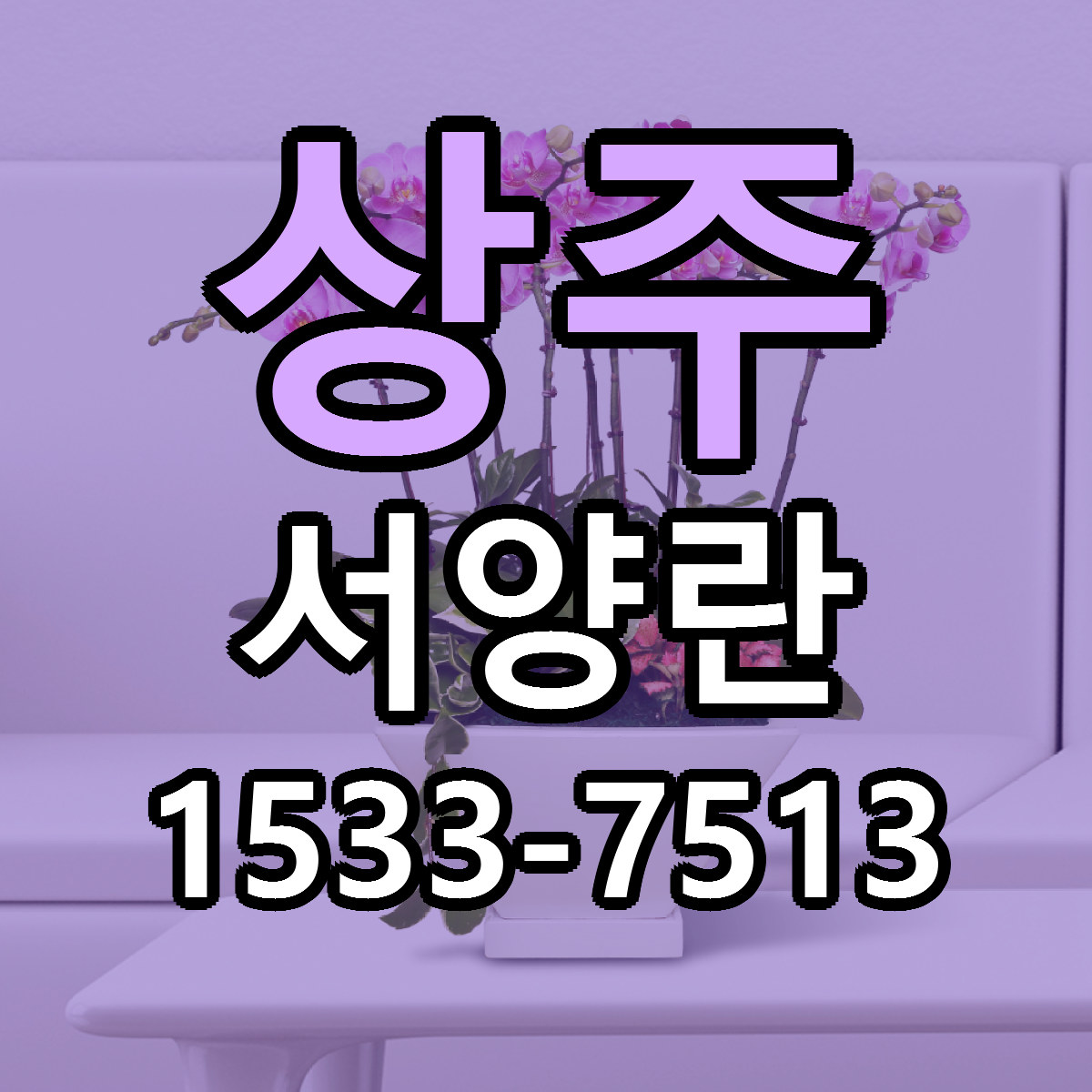 상주 서양란 근처꽃집 당일배송 리본문구 서비스
