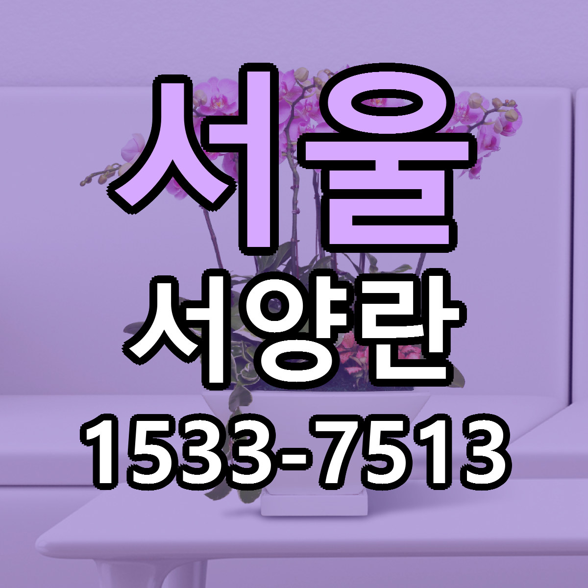 서울 서양란 가격 만족 저렴한곳 리본문구 작성