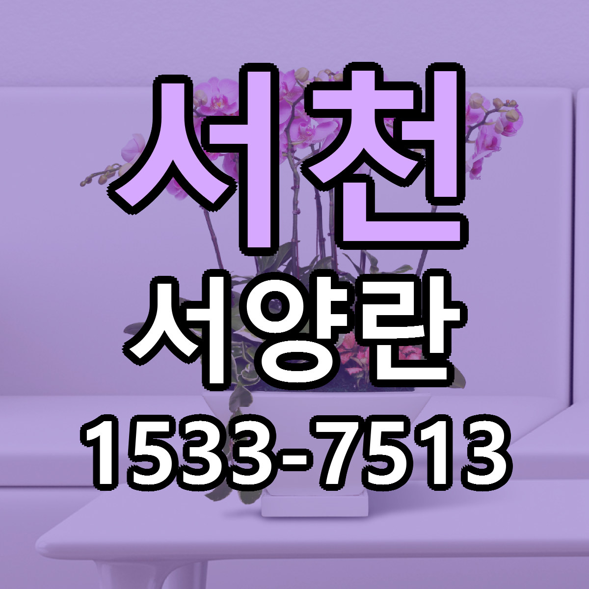 서천 서양란 리본문구 싼곳 빠른배송 예약