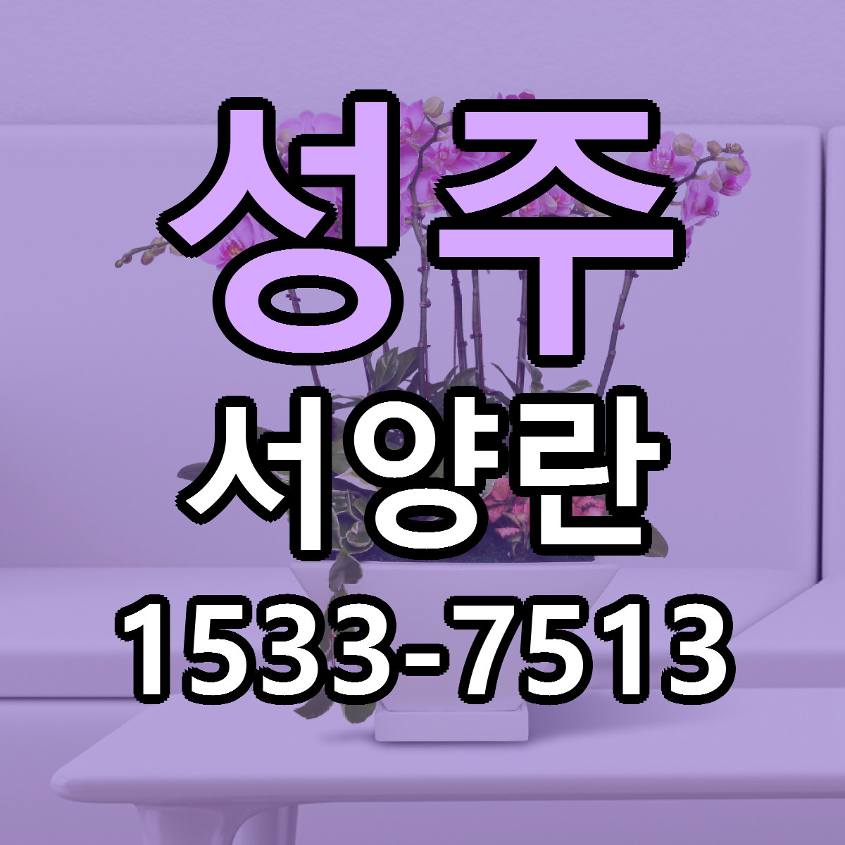 성주 서양란 싼곳 당일배송 리본문구 작성
