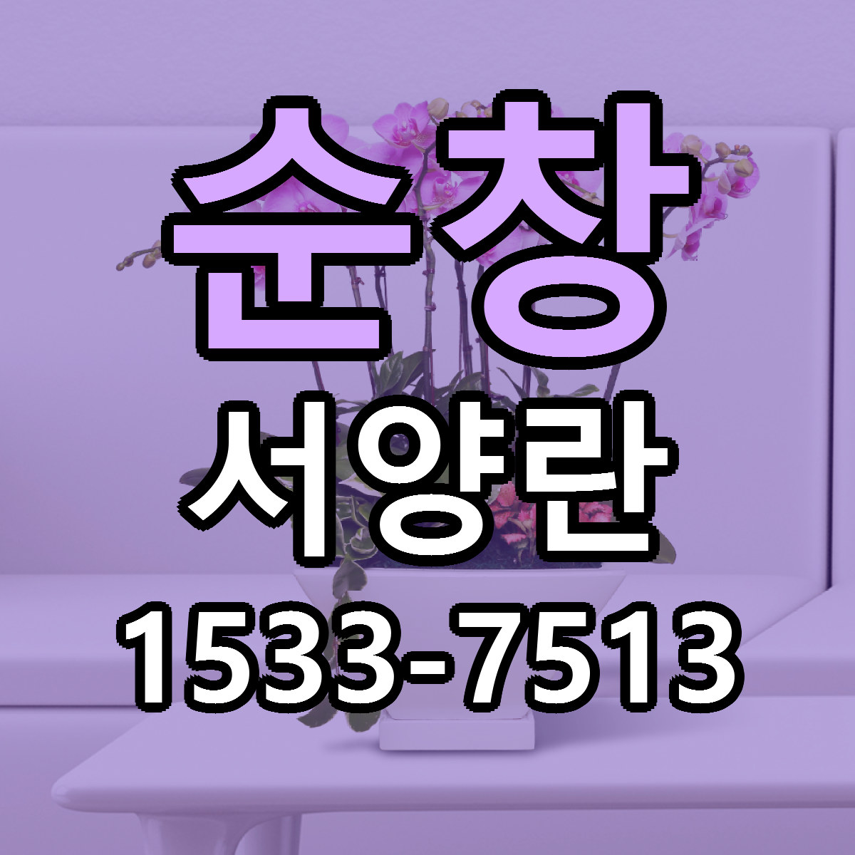 순창 서양란 당일배송 저렴한곳 리본문구 추천