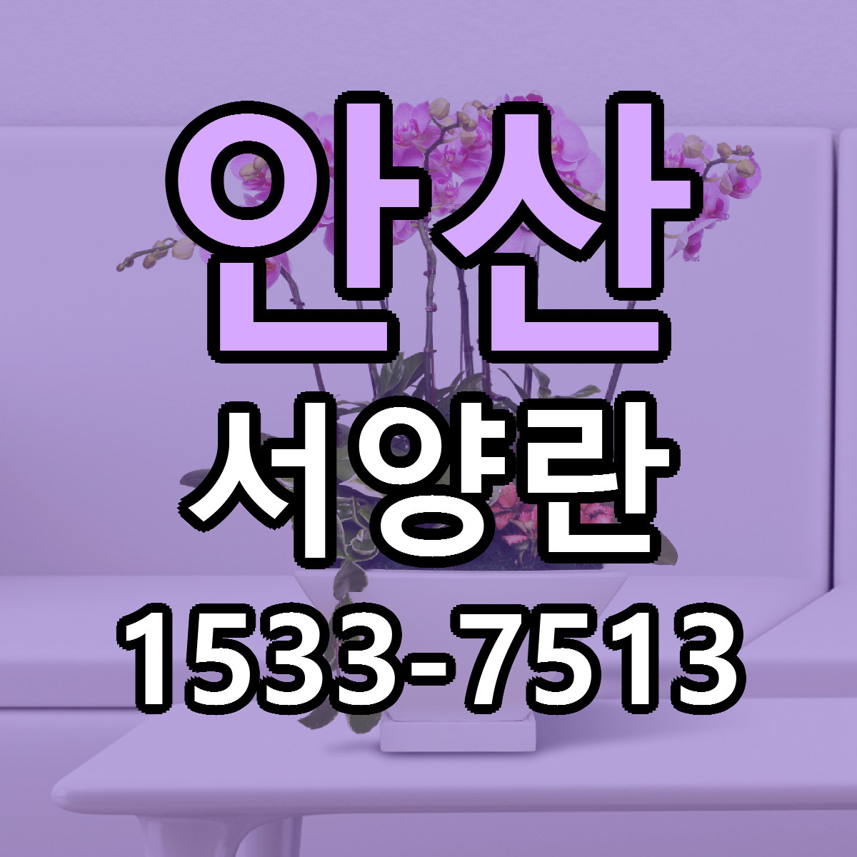 안산 서양란 리본문구 서비스 저렴한곳 빠른배송