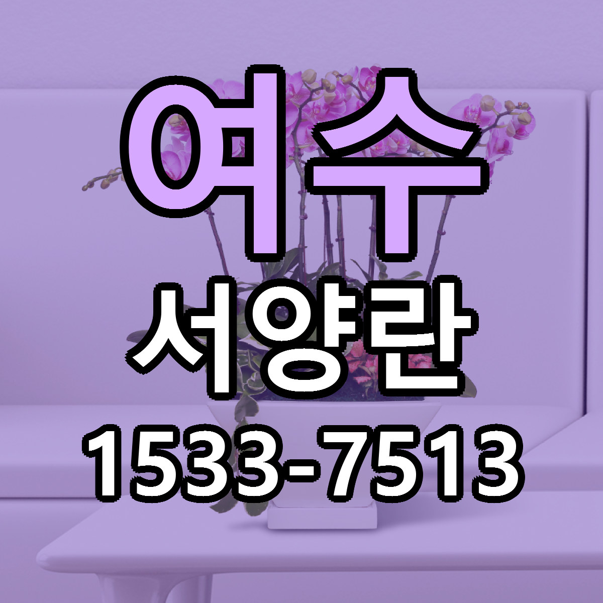 여수 서양란 빠른배송 리본문구 가격 알뜰 비교