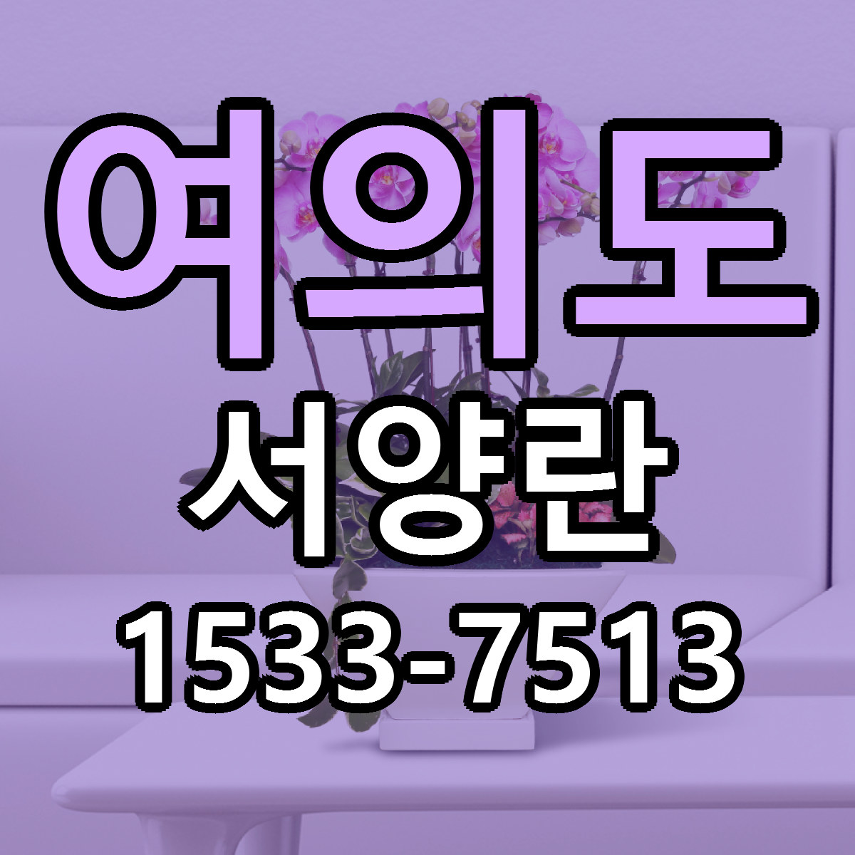 여의도 서양란 리본문구 서비스 저렴한곳 빠른배송