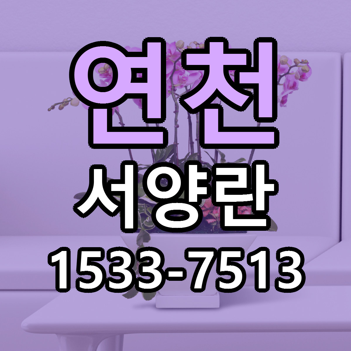 연천 서양란 리본문구 근처꽃집 저렴한곳 예약