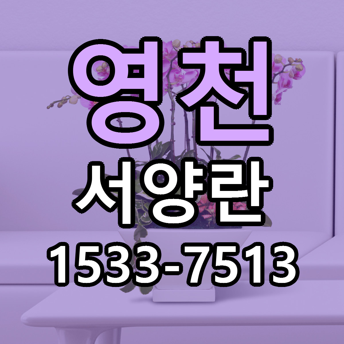 영천 서양란 싼곳 당일배송 리본문구 작성