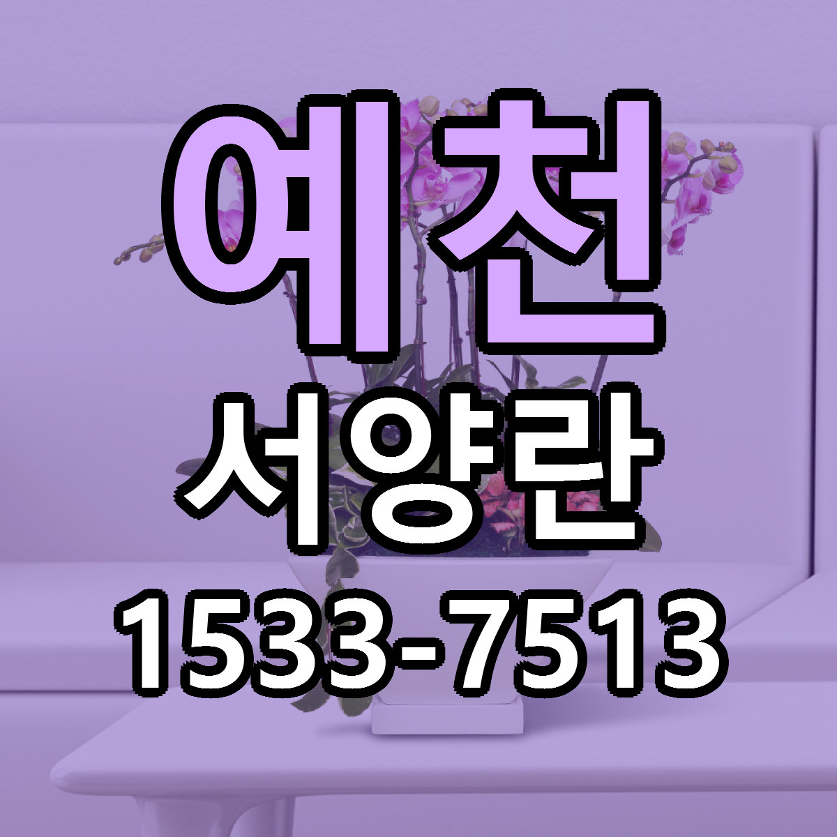 예천 서양란 리본문구 싼곳 빠른배송 예약