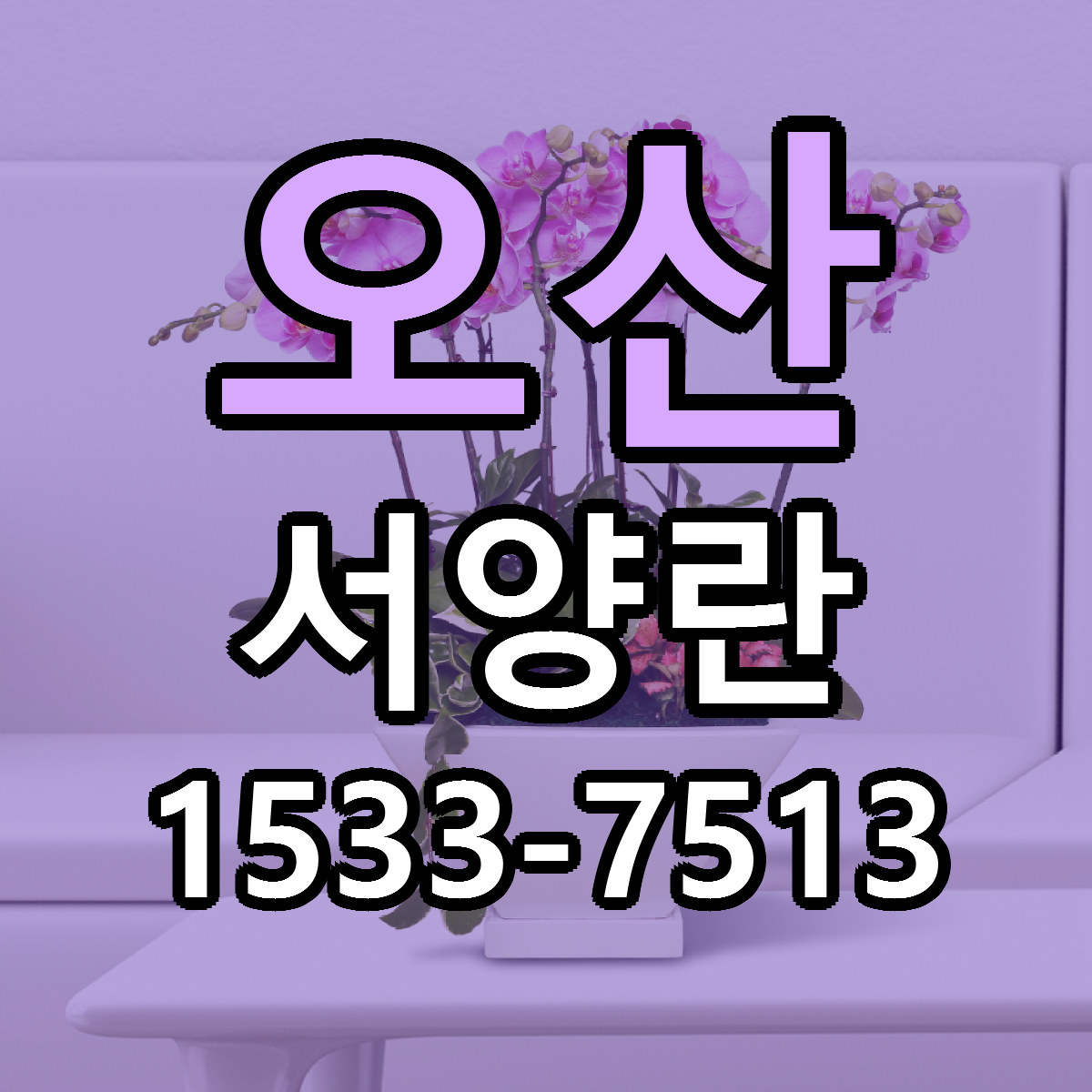 오산 서양란 리본문구 근처꽃집 저렴한곳 예약