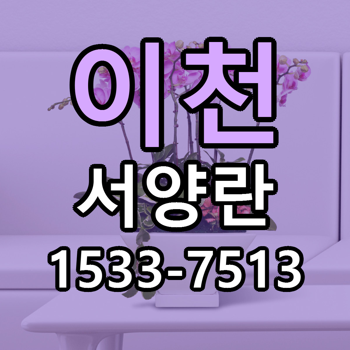 이천 서양란 근처꽃집 가격 저렴한곳 안내