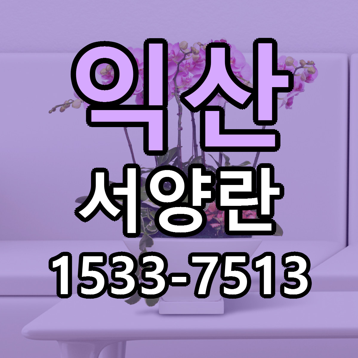 익산 서양란 당일배송 싼곳 리본문구 안내
