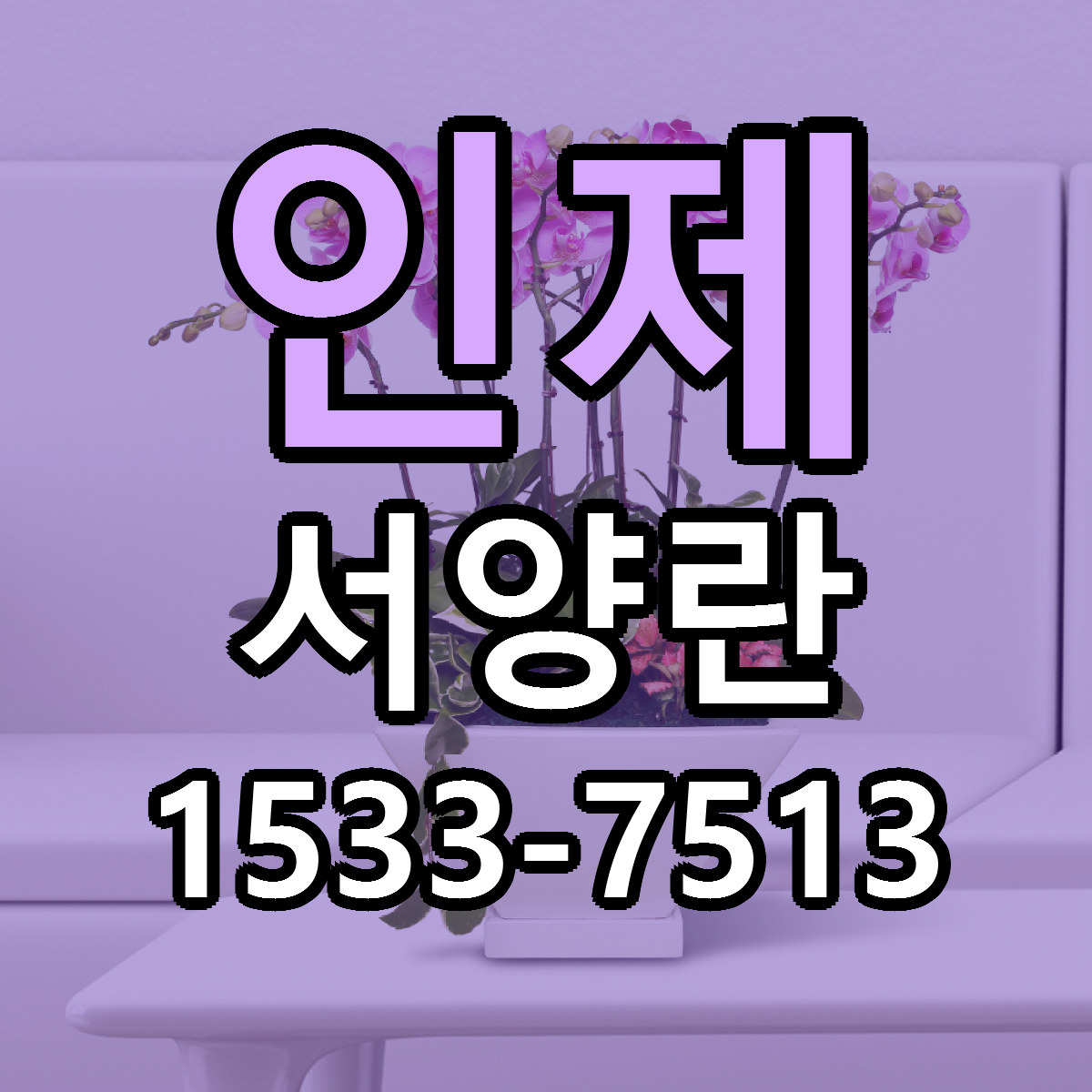 인제 서양란 리본문구 서비스 저렴한곳 빠른배송
