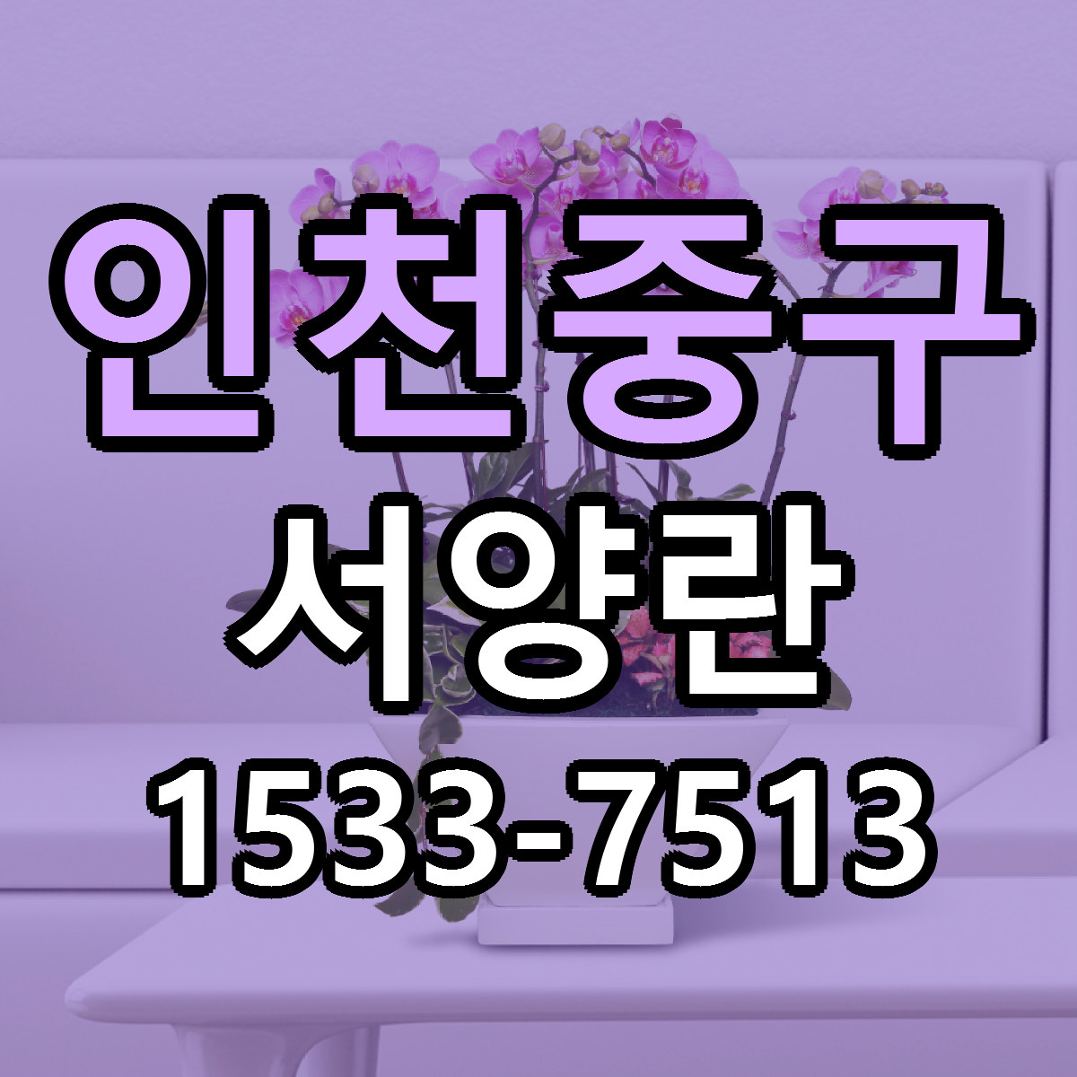 인천중구 서양란 저렴한곳 당일배송 근처꽃집 추천