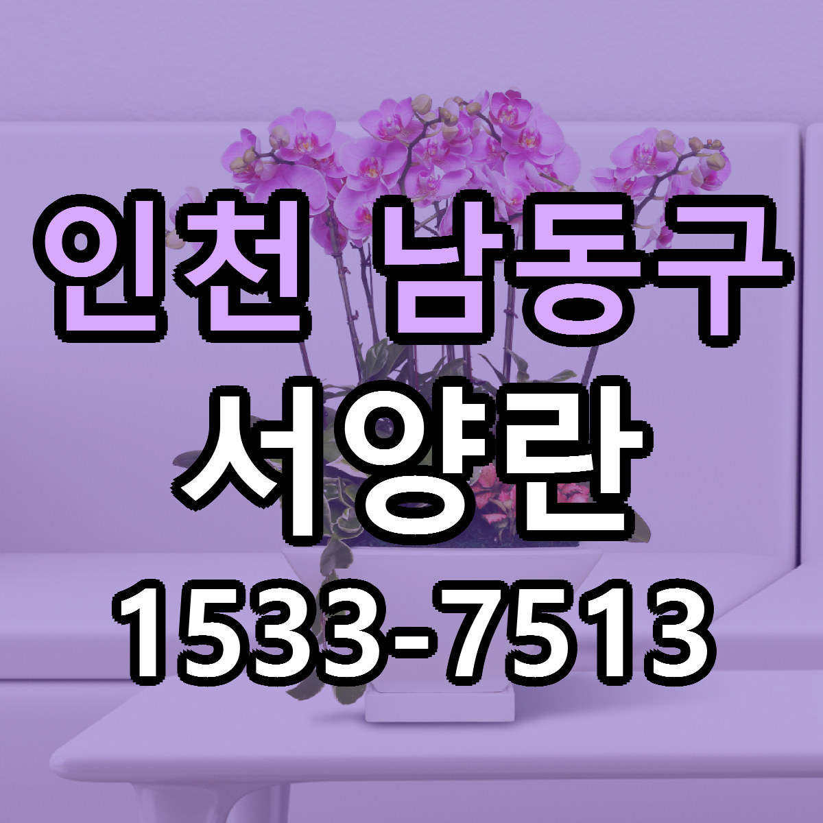 인천 남동구 서양란 당일배송 싼곳 리본문구 안내