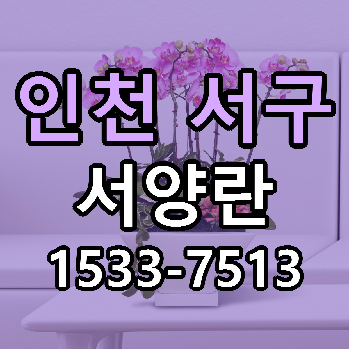 인천 서구 서양란 근처꽃집 저렴한곳 빠른배송 서비스