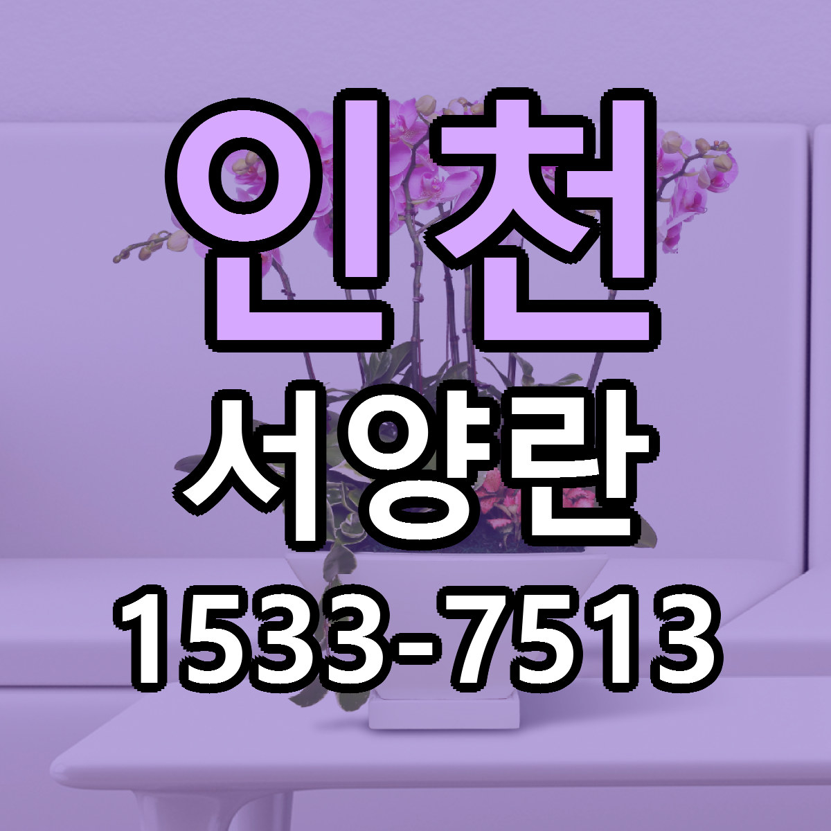 인천 서양란 가격 만족 저렴한곳 리본문구 작성