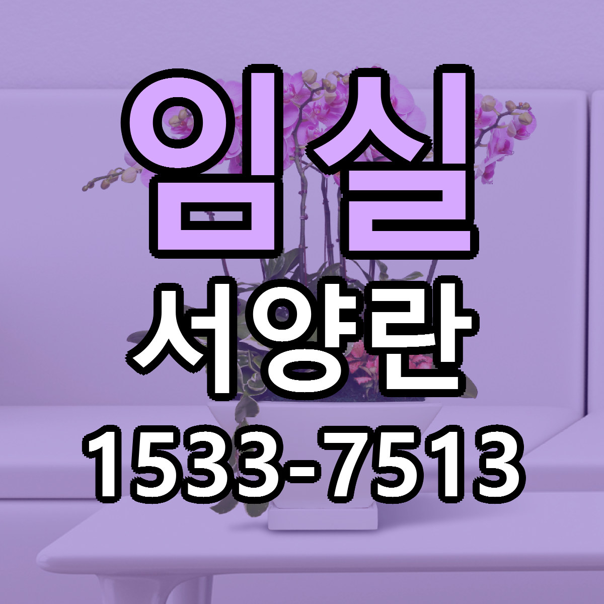 임실 서양란 빠른배송 리본문구 근처꽃집 예약