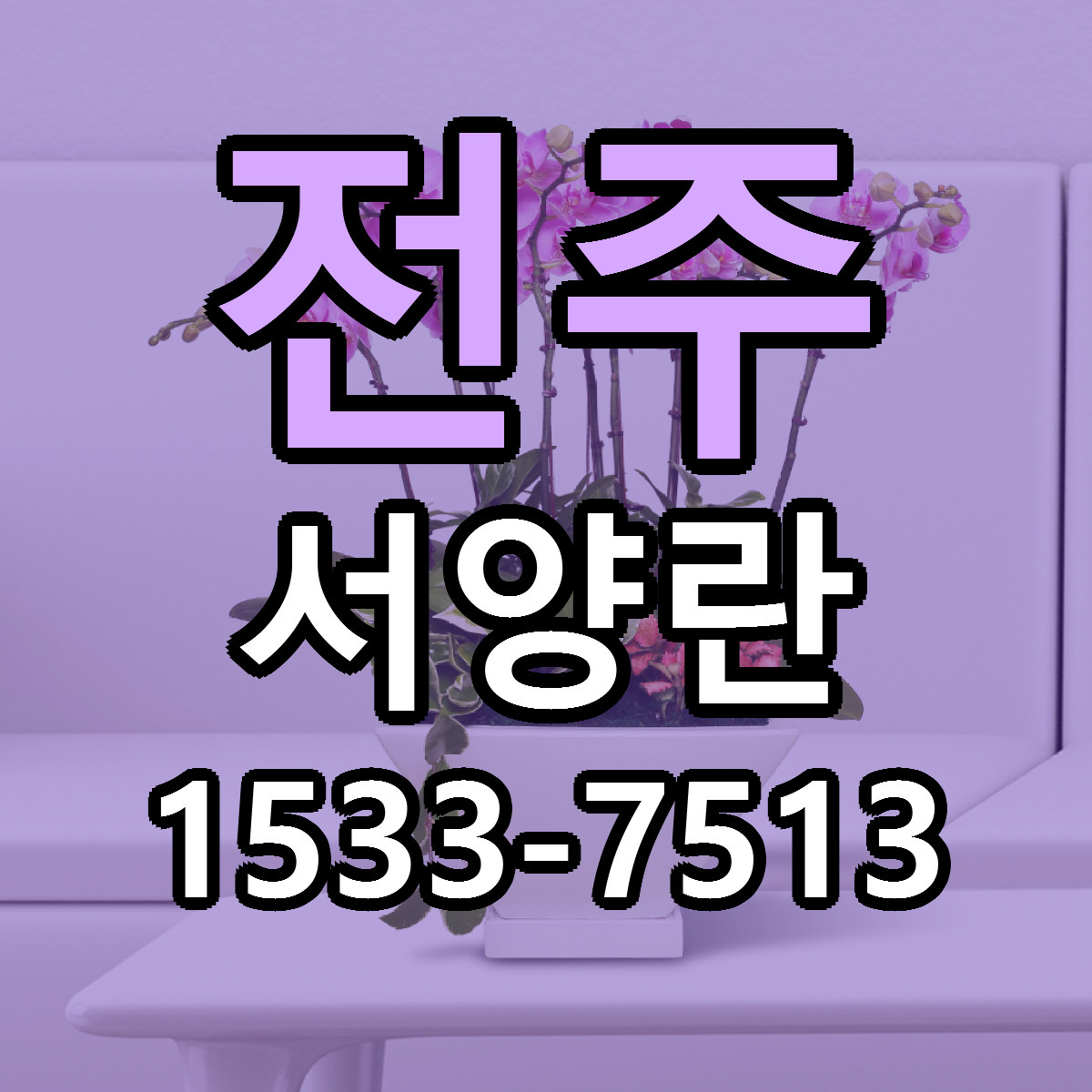 전주 서양란 리본문구 싼곳 빠른배송 예약