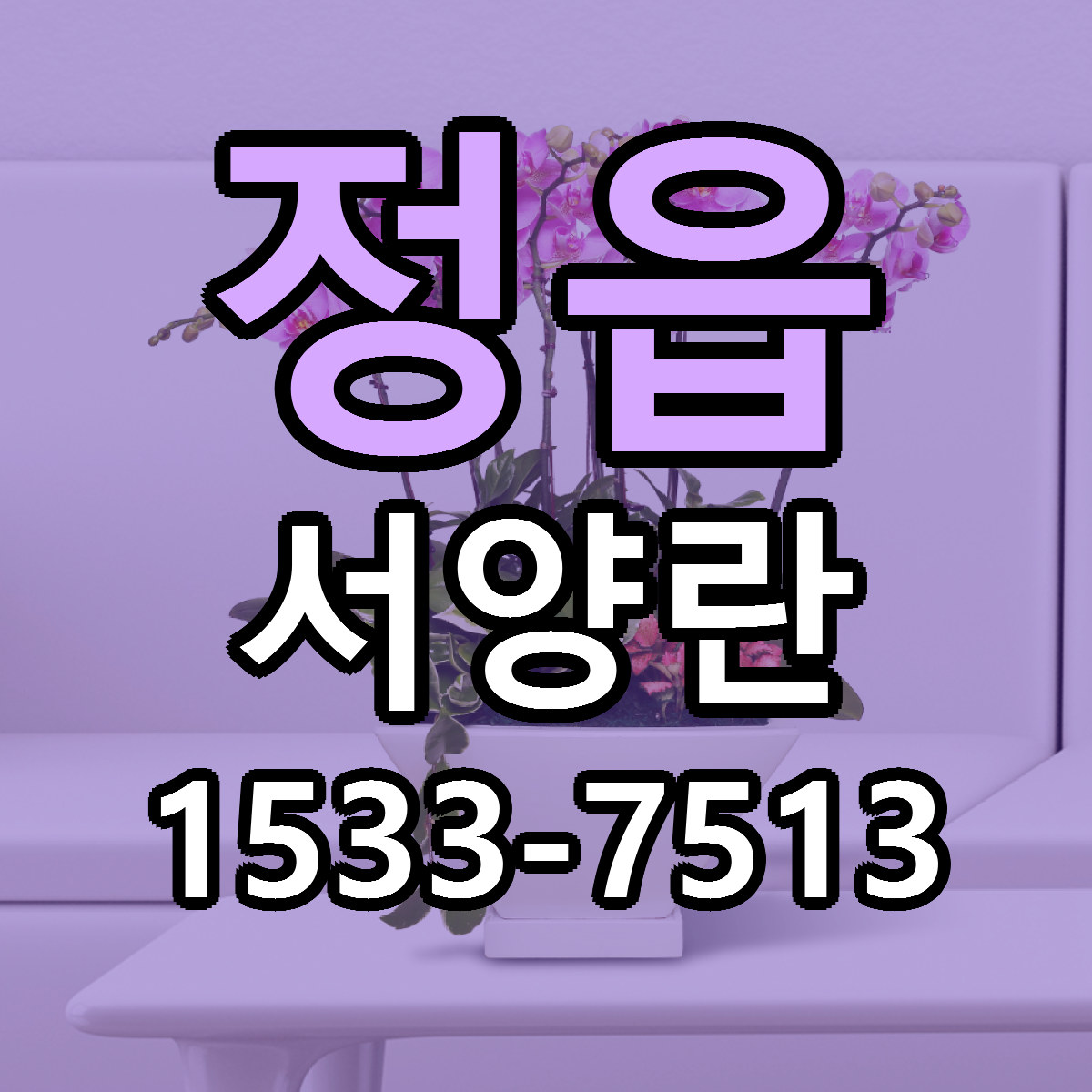 정읍 서양란 리본문구 근처꽃집 저렴한곳 예약