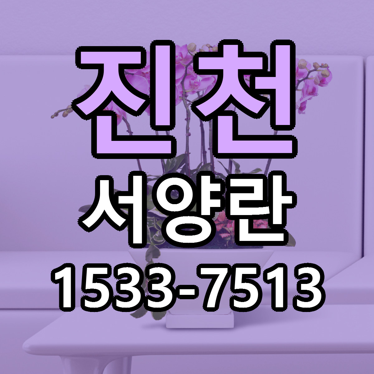 진천 서양란 리본문구 서비스 저렴한곳 빠른배송