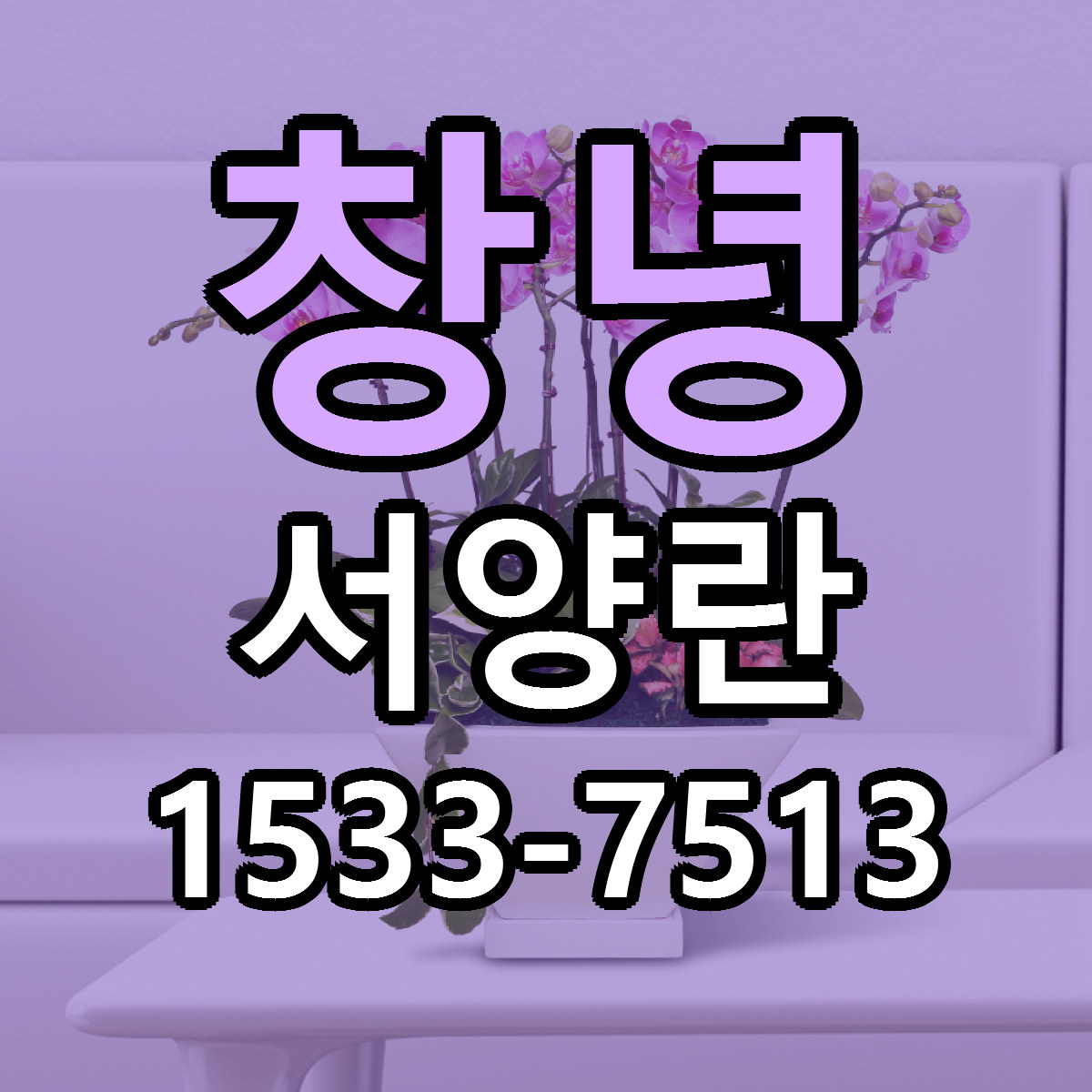 창녕 서양란 리본문구 근처꽃집 저렴한곳 예약