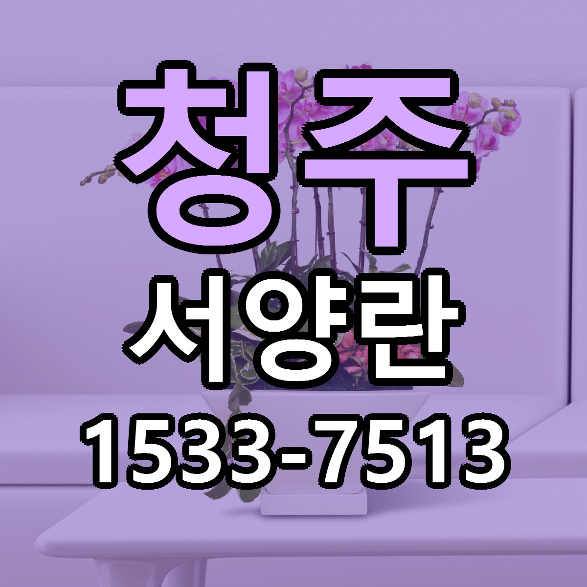 청주 서양란 싼곳 당일배송 리본문구 작성
