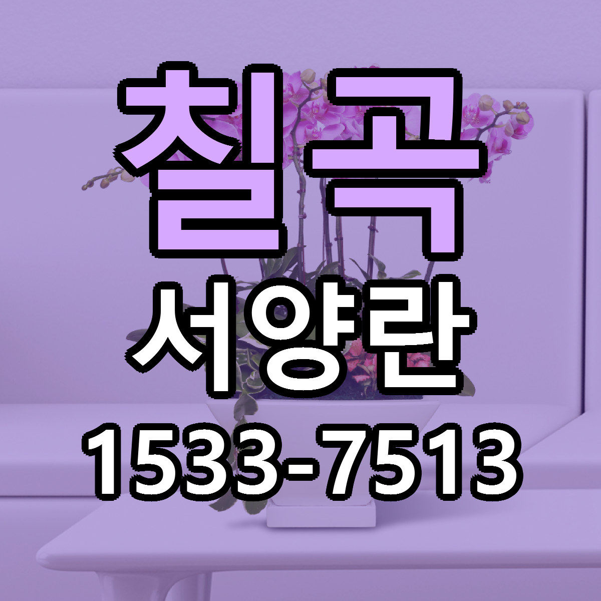 칠곡 서양란 당일배송 싼곳 리본문구 안내