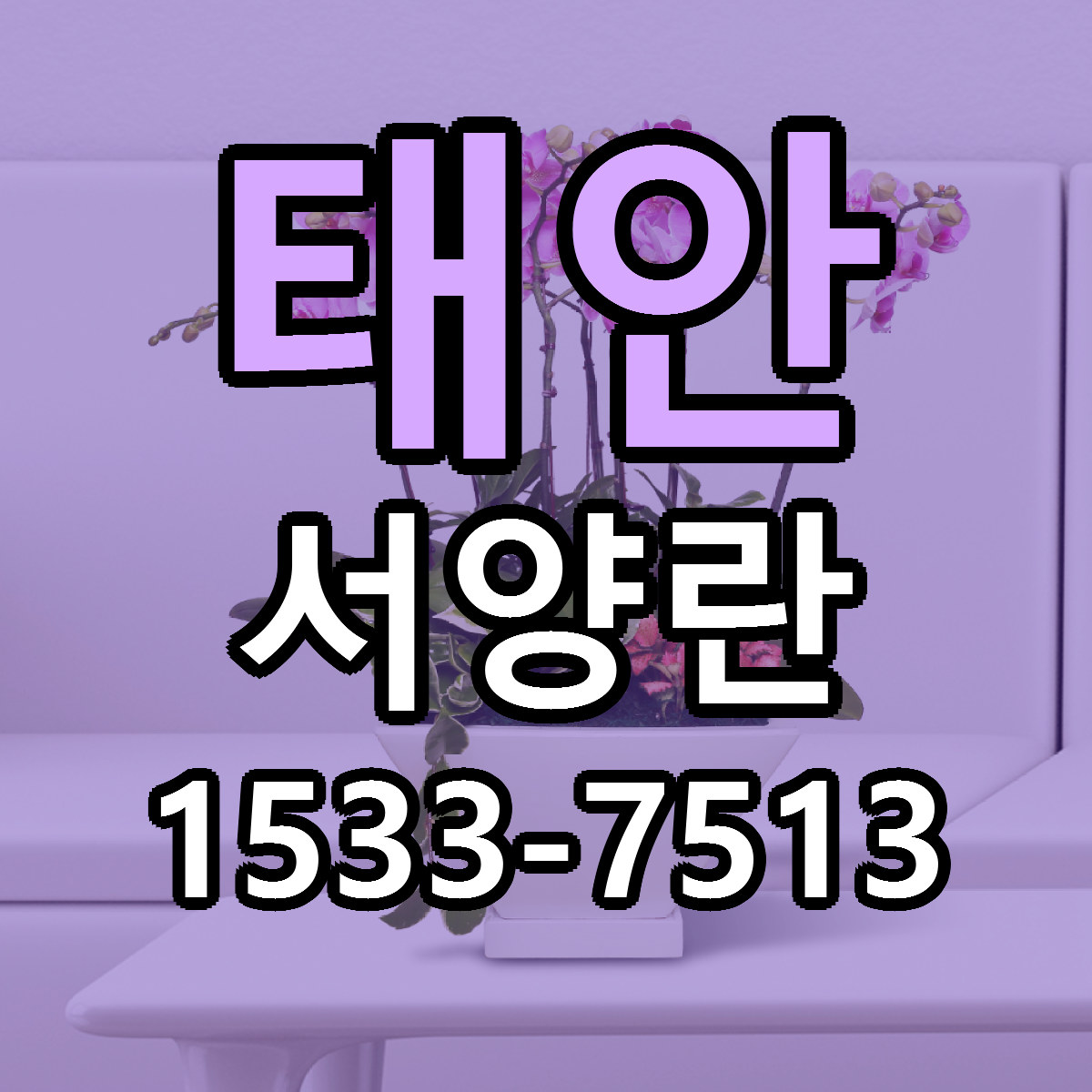 태안 서양란 리본문구 서비스 저렴한곳 빠른배송