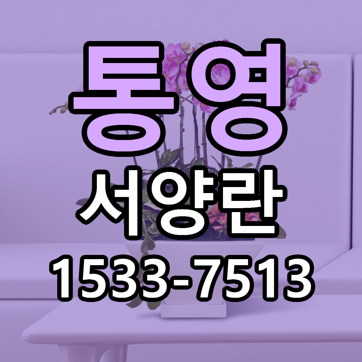 통영 서양란 가격 만족 저렴한곳 리본문구 작성