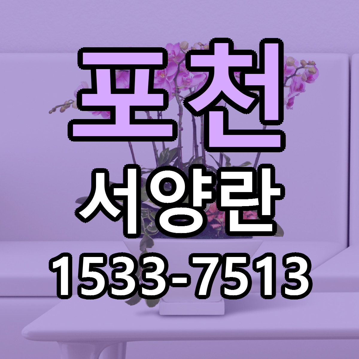 포천 서양란 리본문구 싼곳 빠른배송 예약