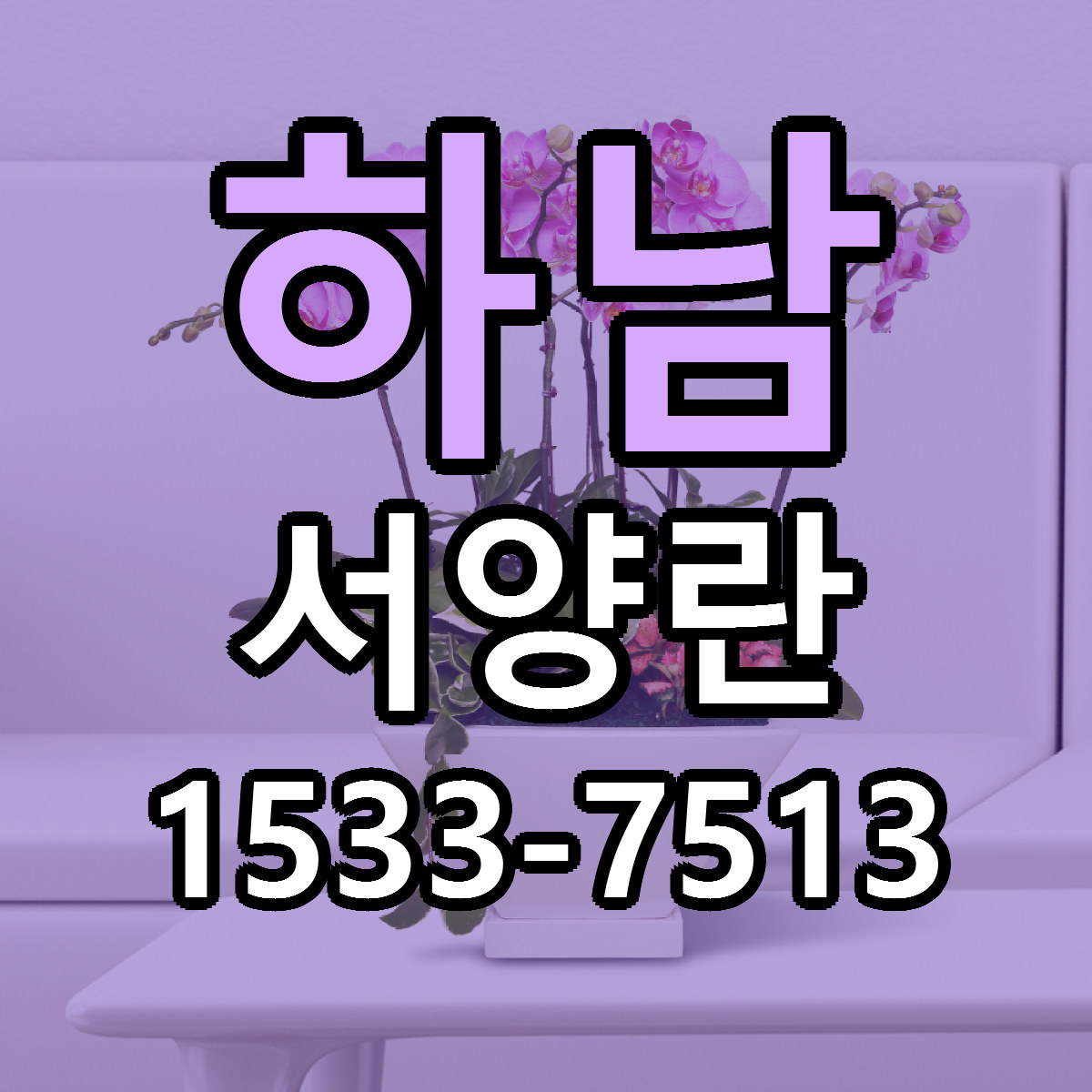 하남 서양란 싼곳 빠른배송 리본문구 무료