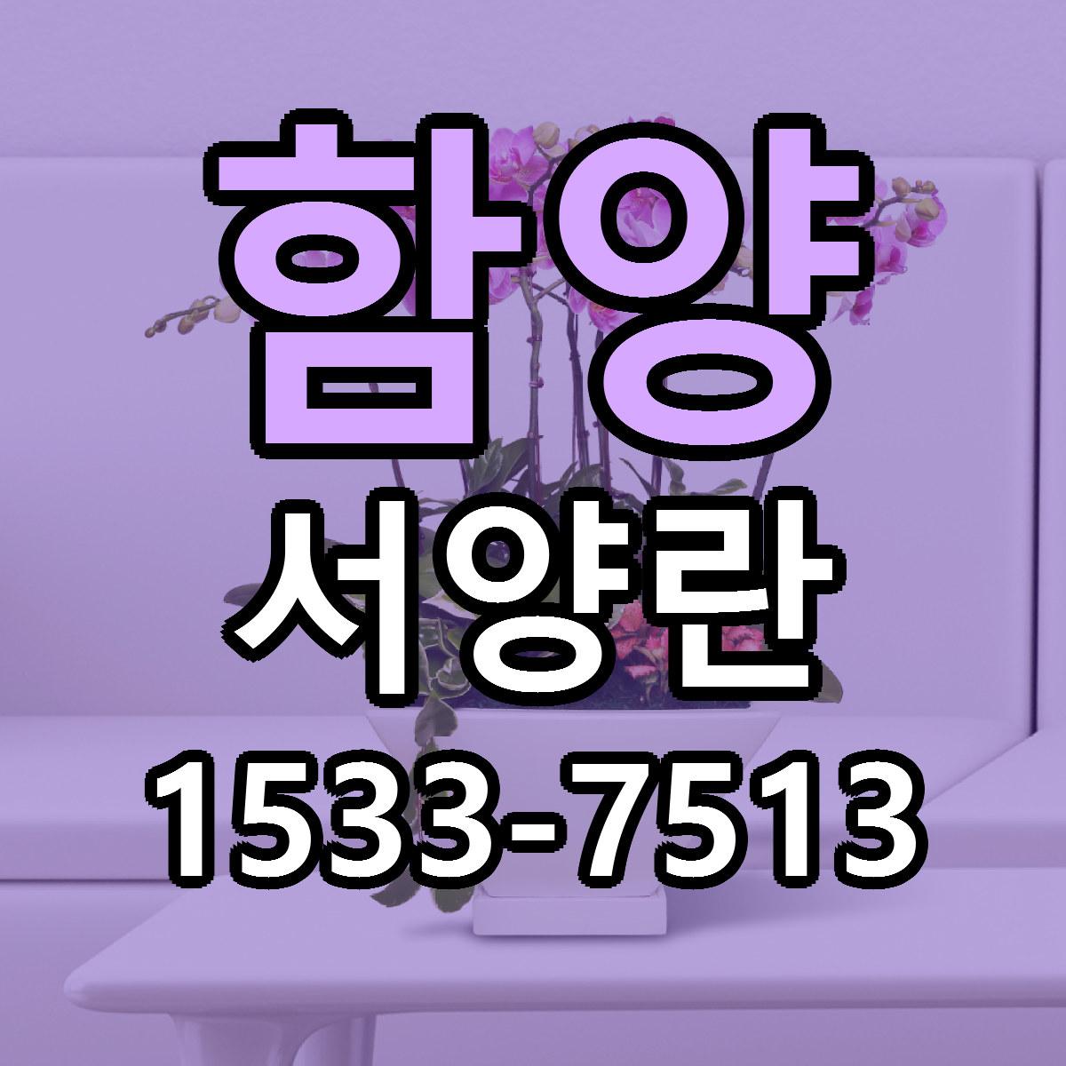 함양 서양란 근처꽃집 당일배송 리본문구 서비스