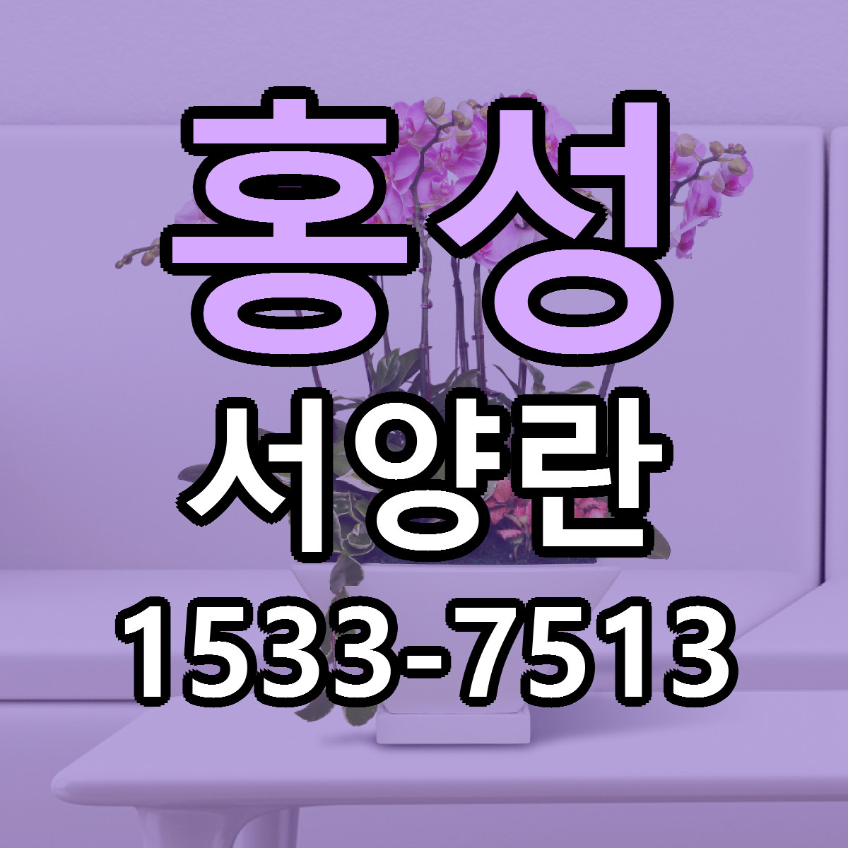 홍성 서양란 리본문구 서비스 저렴한곳 빠른배송