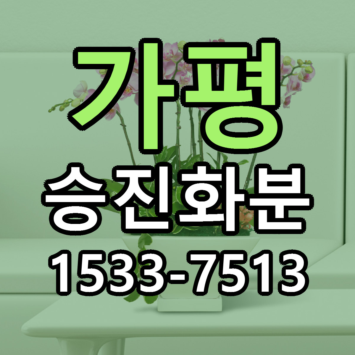 가평 승진화분 싼곳 당일배송 빠른배송 추천