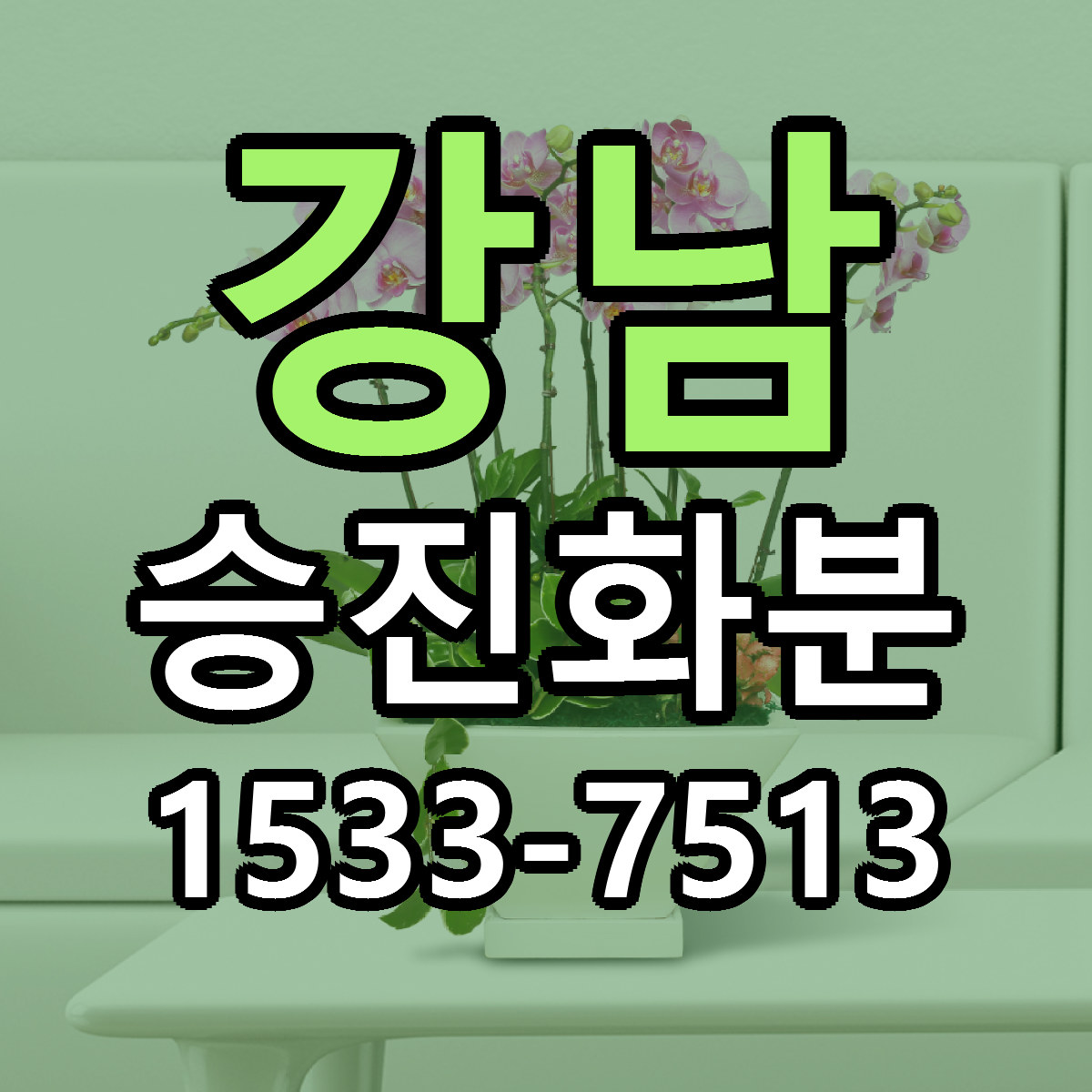 강남 승진화분 싼곳 당일배송 빠른배송 추천