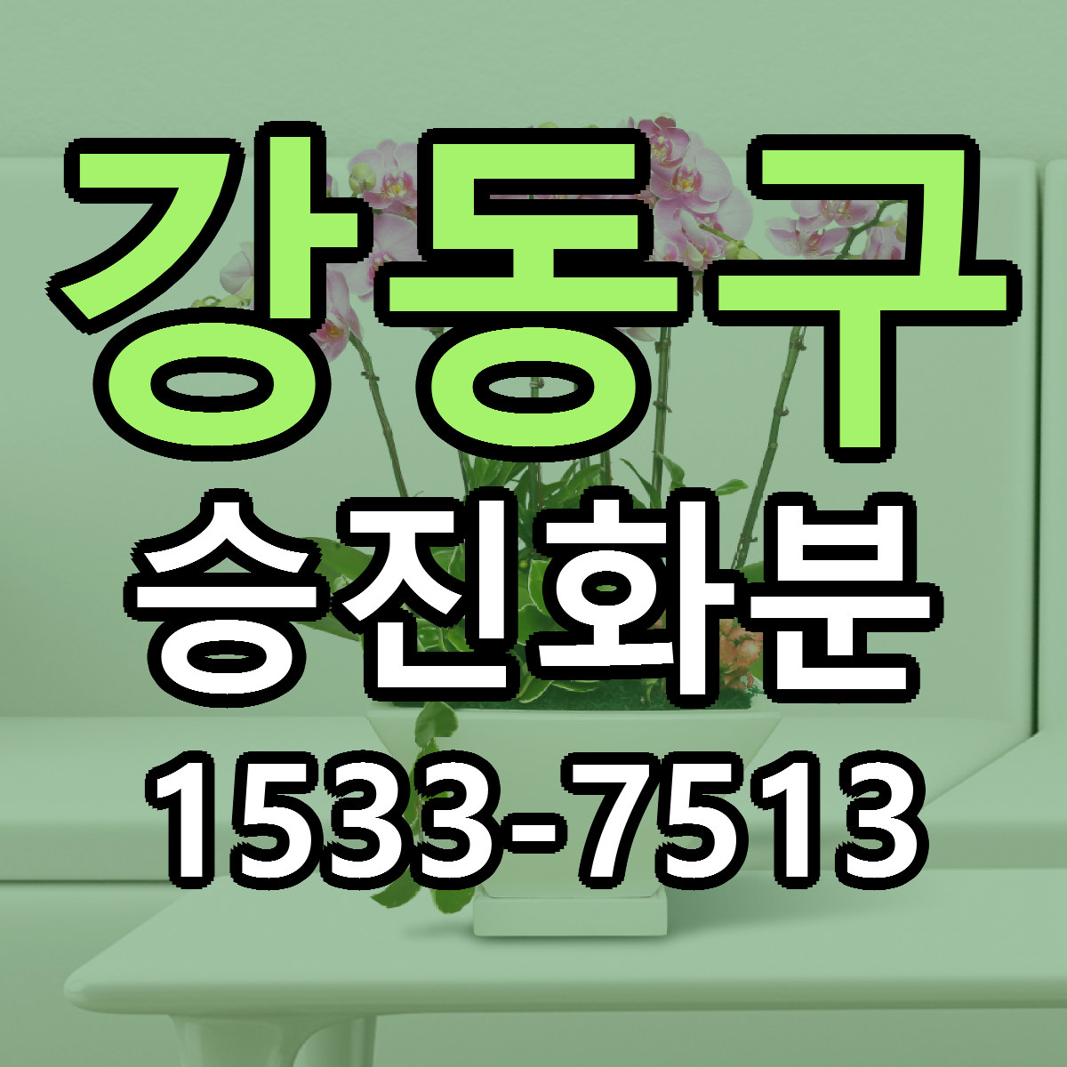 강동구 승진화분 빠른배송 근처꽃집 가격 비교