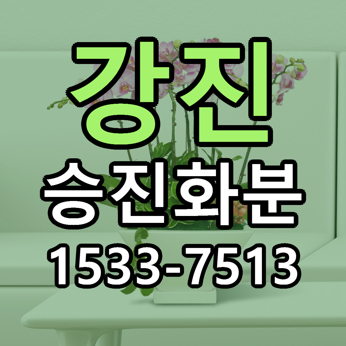 강진 승진화분 당일배송 저렴한곳 리본문구 추천