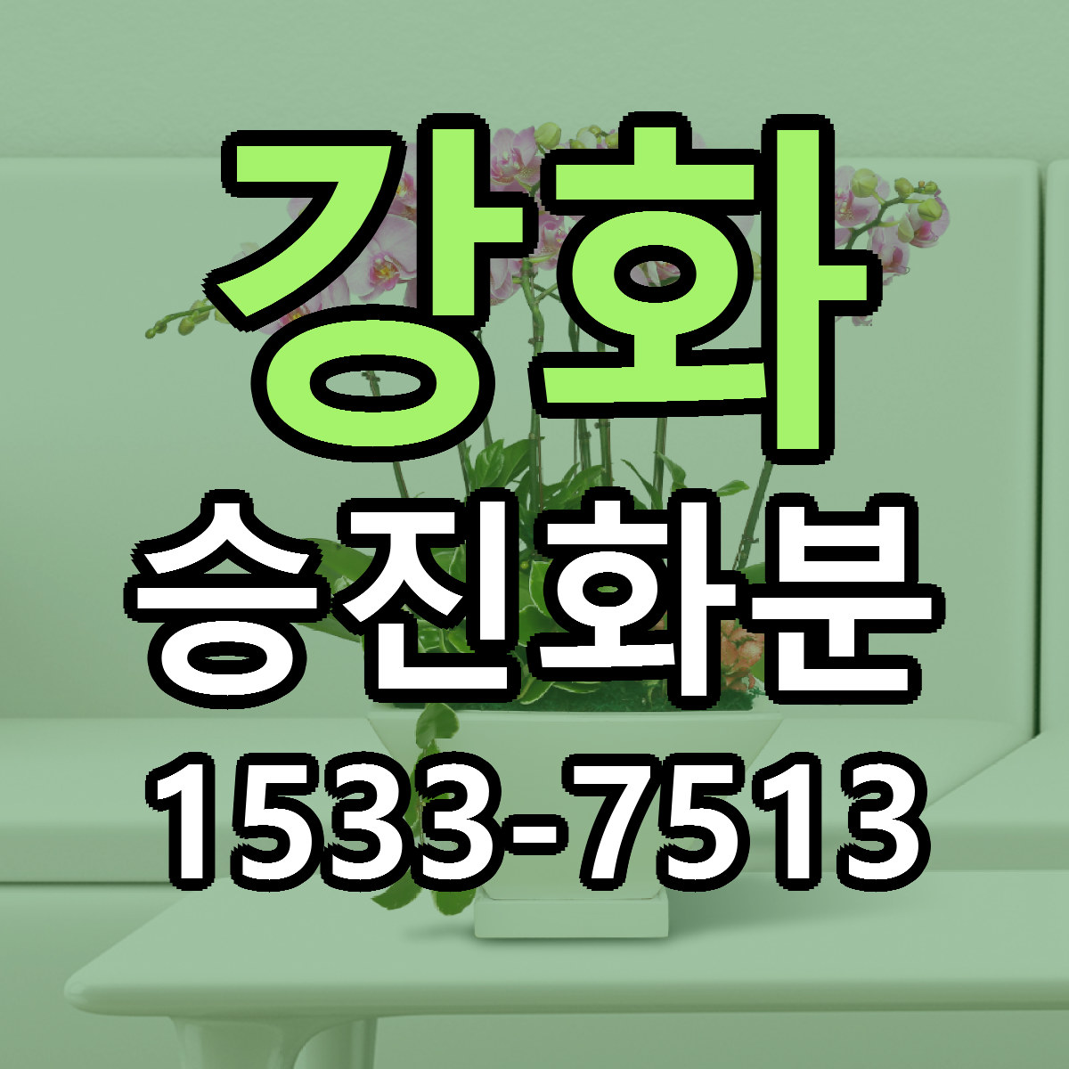강화 승진화분 근처꽃집 당일배송 리본문구 서비스